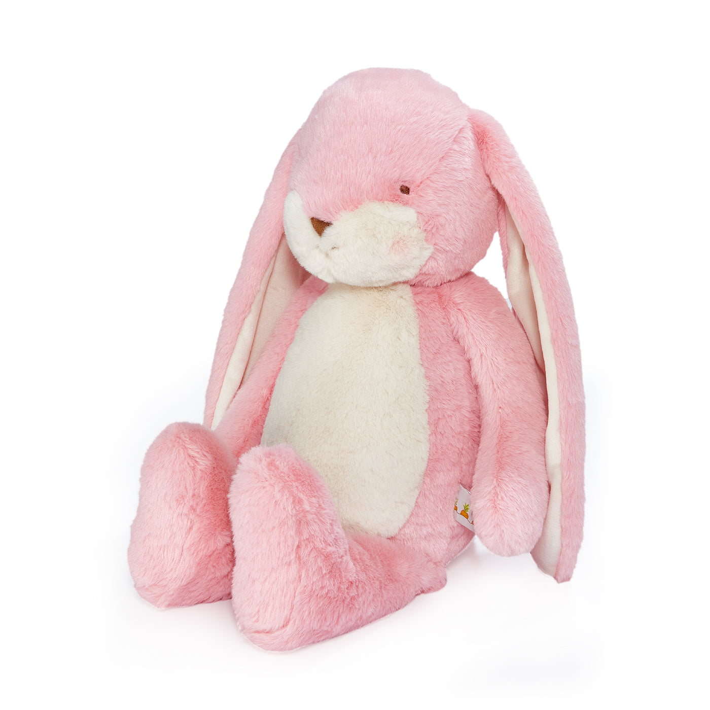 Personalized Big Floppy Bunny - Coral Blush - Give Wink